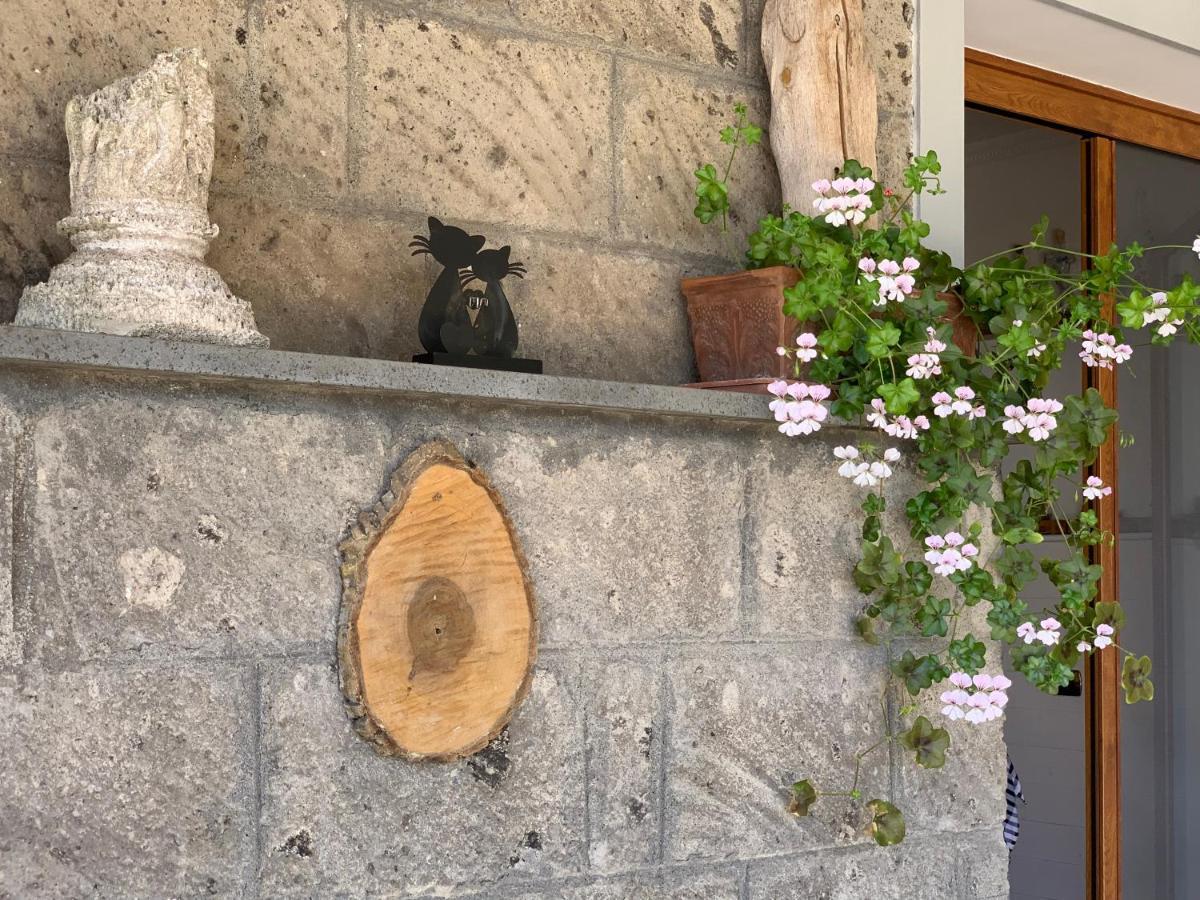 Villa Flore Colli di Fontanelle Eksteriør billede